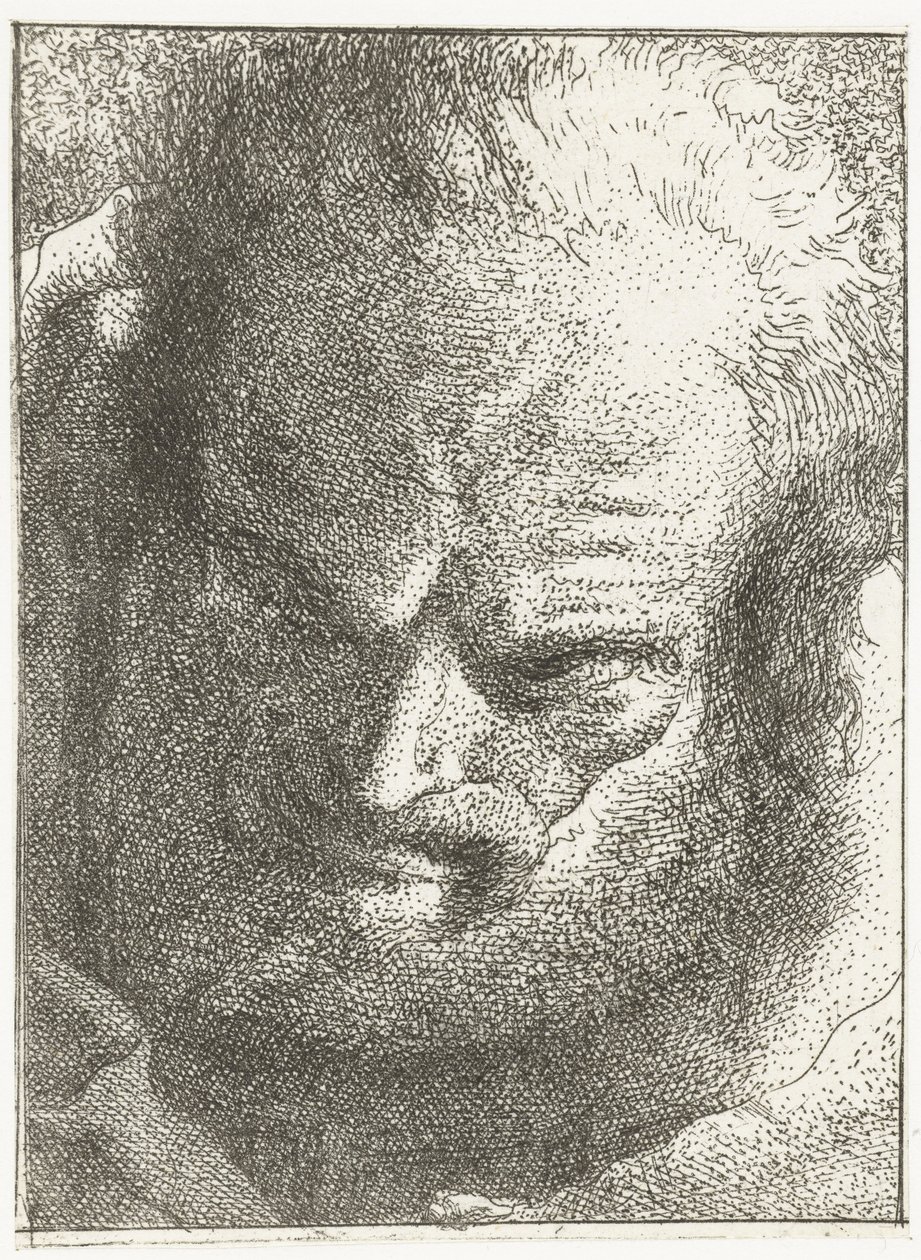 Uomo guarda in basso da Giovanni Domenico Tiepolo