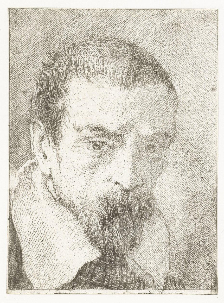 Uomo con piccola barba senza copricapo da Giovanni Domenico Tiepolo