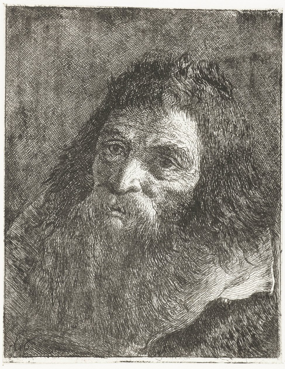 Uomo con capelli lunghi e barba da Giovanni Domenico Tiepolo