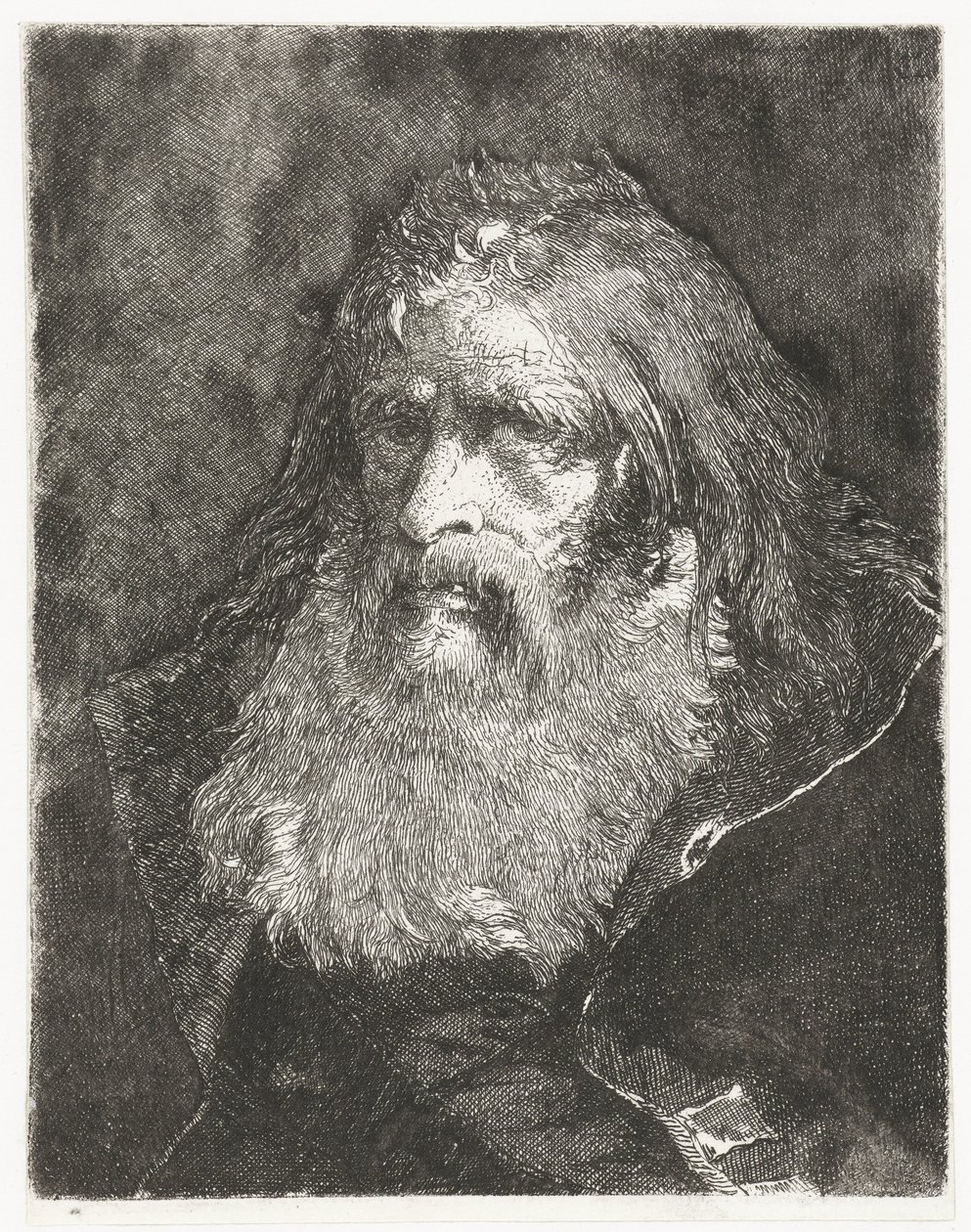 Uomo con capelli lunghi e senza copricapo da Giovanni Domenico Tiepolo