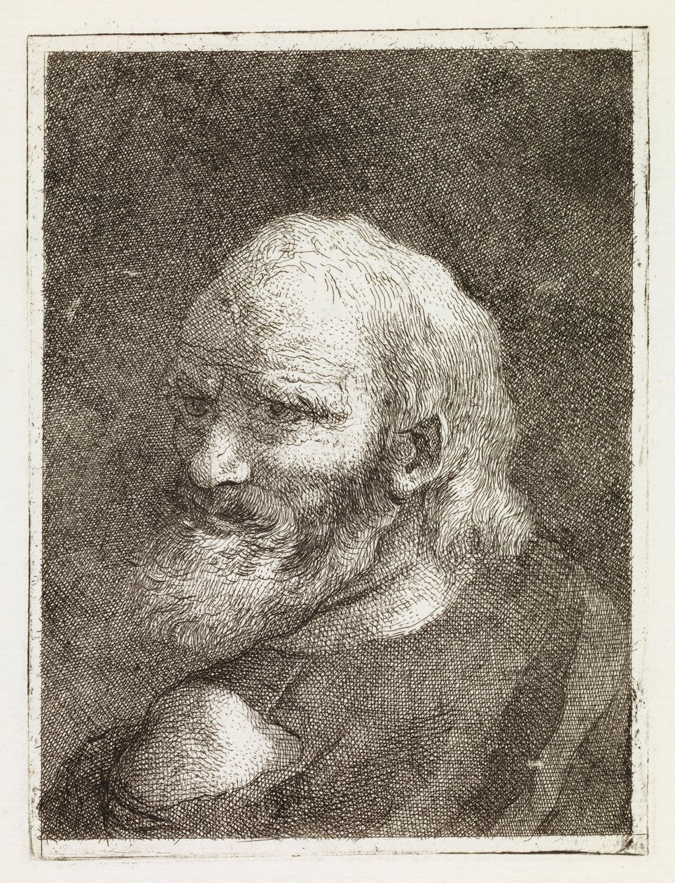 Vecchio raffigurato di spalle da Giovanni Domenico Tiepolo