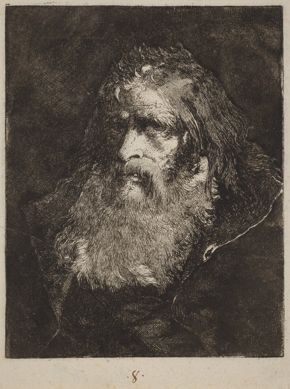 Anziano a capo scoperto da Giovanni Domenico Tiepolo