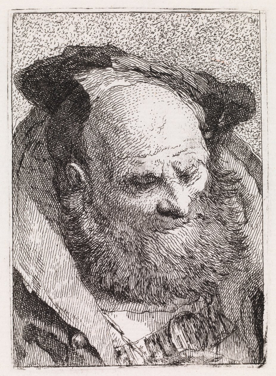 Vecchio con la barba da Giovanni Domenico Tiepolo