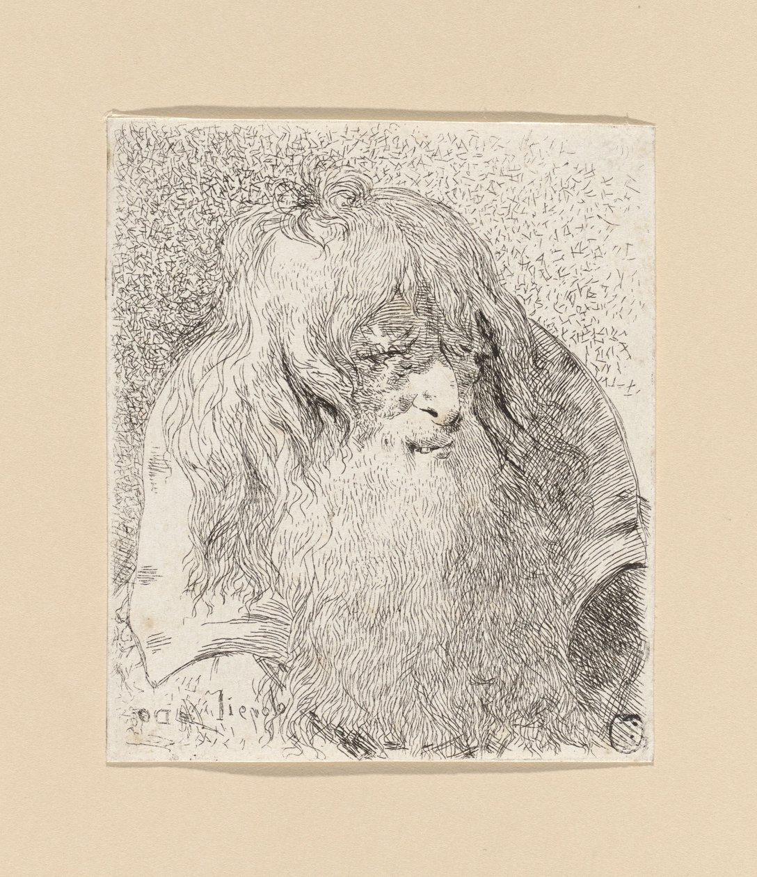 Vecchio con barba e capelli lunghi, dalla *Raccolta di Teste* (Collezione di teste) da Giovanni Domenico Tiepolo
