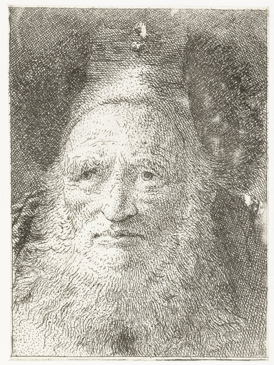 Vecchio con cappello di pelliccia da Giovanni Domenico Tiepolo
