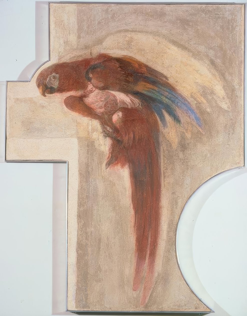 Pappagallo da Giovanni Domenico Tiepolo