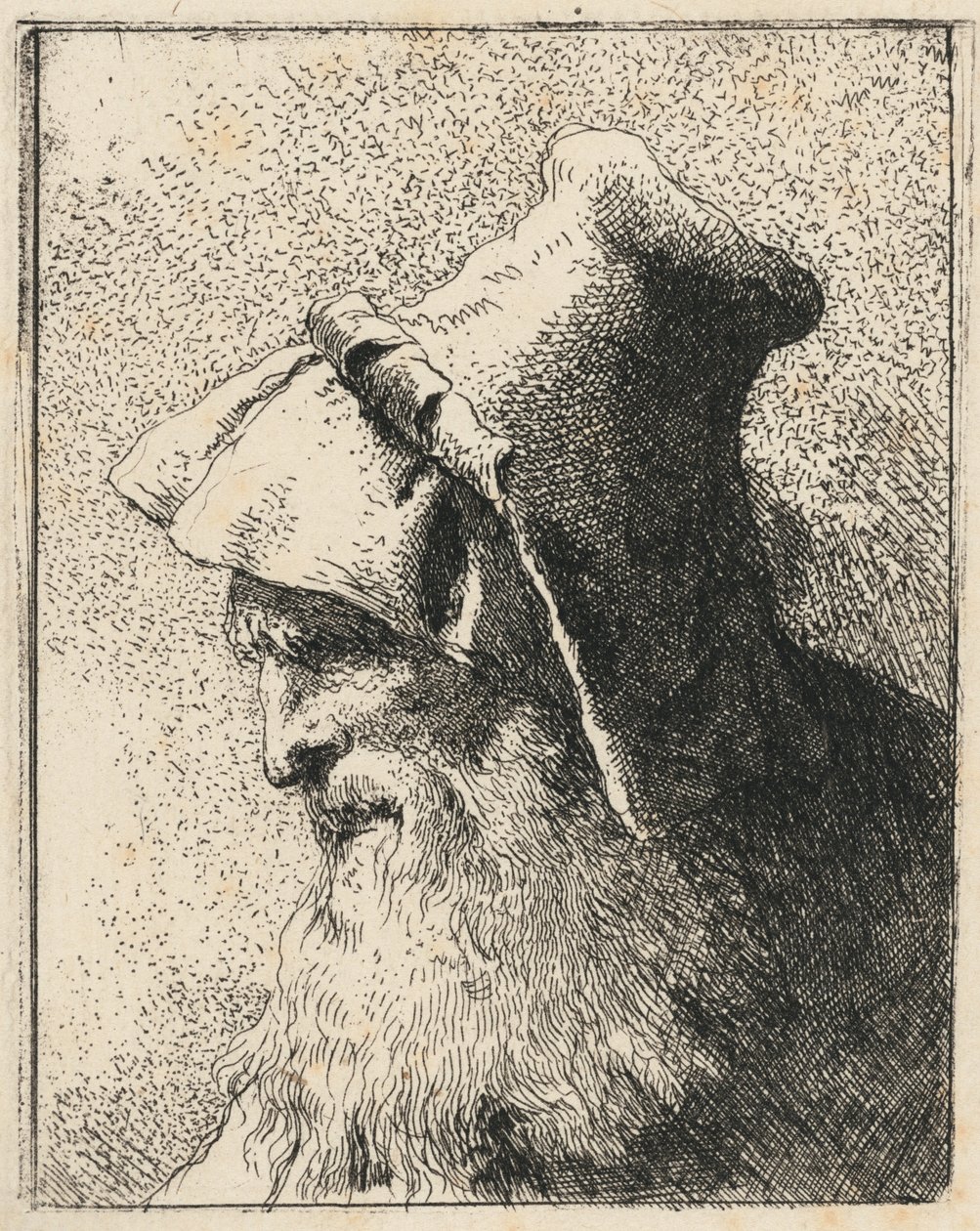 Profilo di un vecchio con la barba da Giovanni Domenico Tiepolo