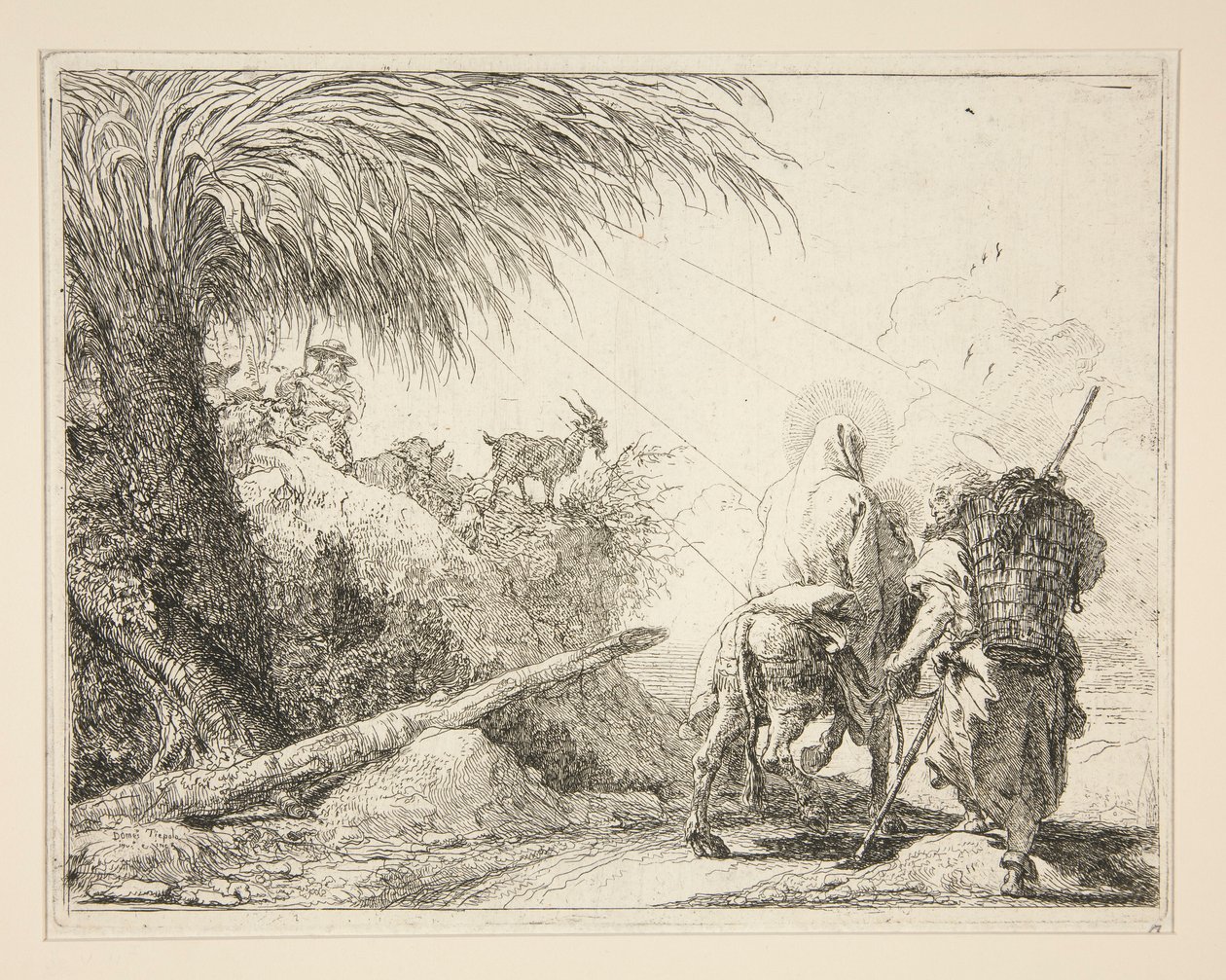 La Vergine, montata sull