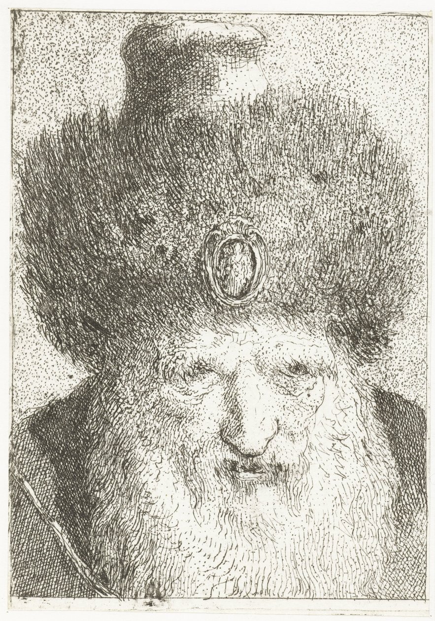 Uomo turco con cappello di pelliccia Raccolta di Teste da Giovanni Domenico Tiepolo