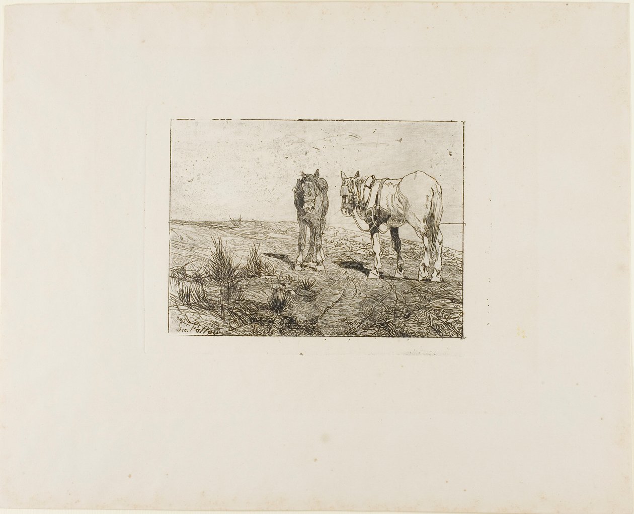 Riposo dei cavalli da Giovanni Fattori