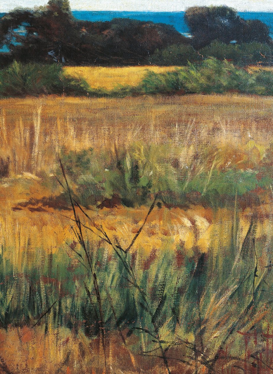 Maremma Toscana, circa 1894 (dettaglio) da Giovanni Fattori