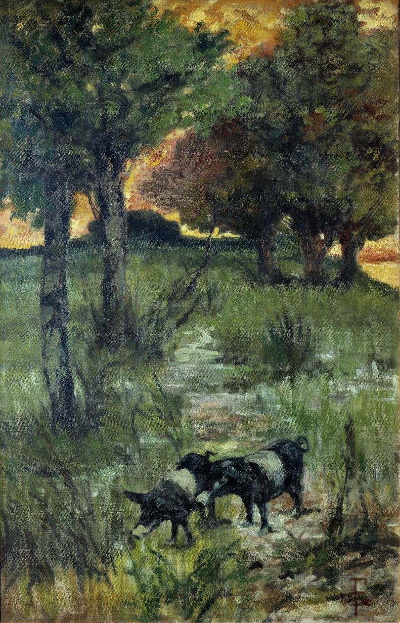 Italia, Firenze, Maiali al pascolo da Giovanni Fattori