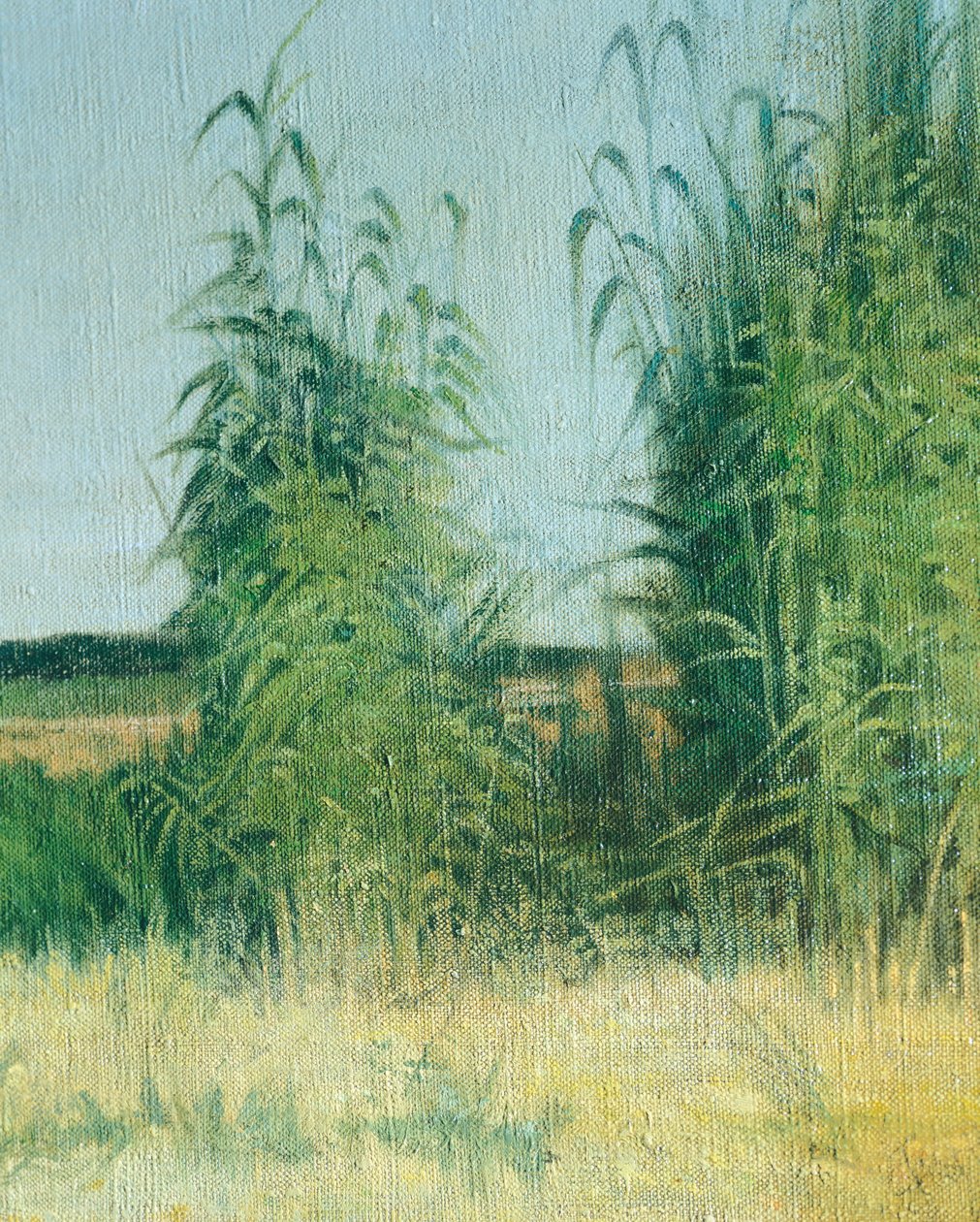 Portatore d