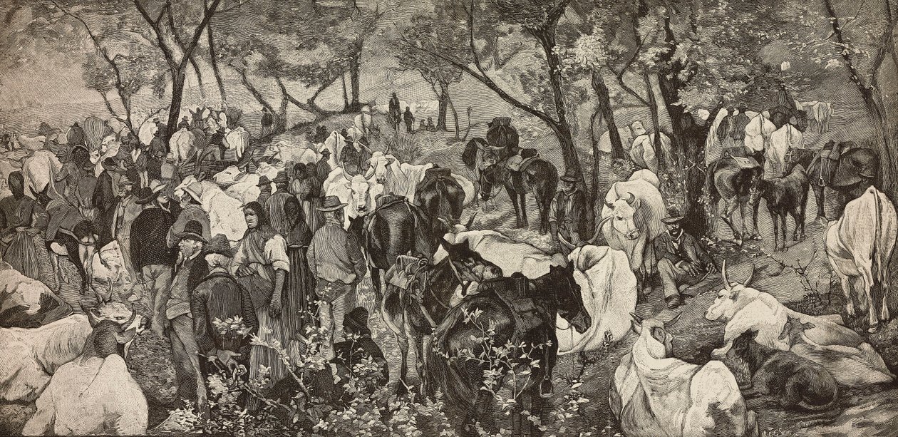 Mercato negli Appennini toscani da Giovanni Fattori