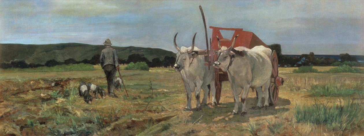 Carro di buoi nella Maremma toscana da Giovanni Fattori
