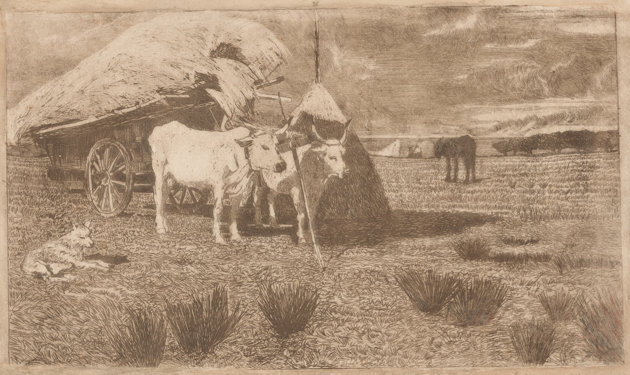 Oxen Yoked to a Cart (Maremma) (Bovi al carro (Maremma)) da Giovanni Fattori