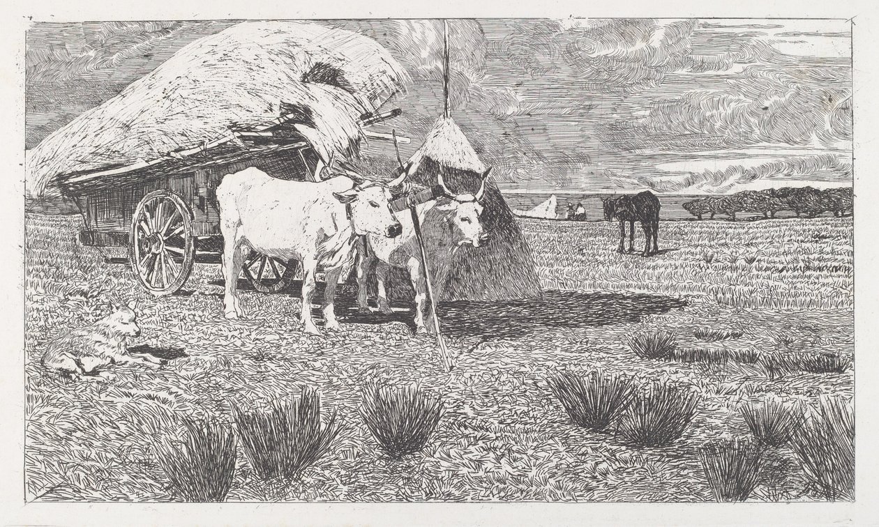 Buoi al carro (Maremma) da Giovanni Fattori
