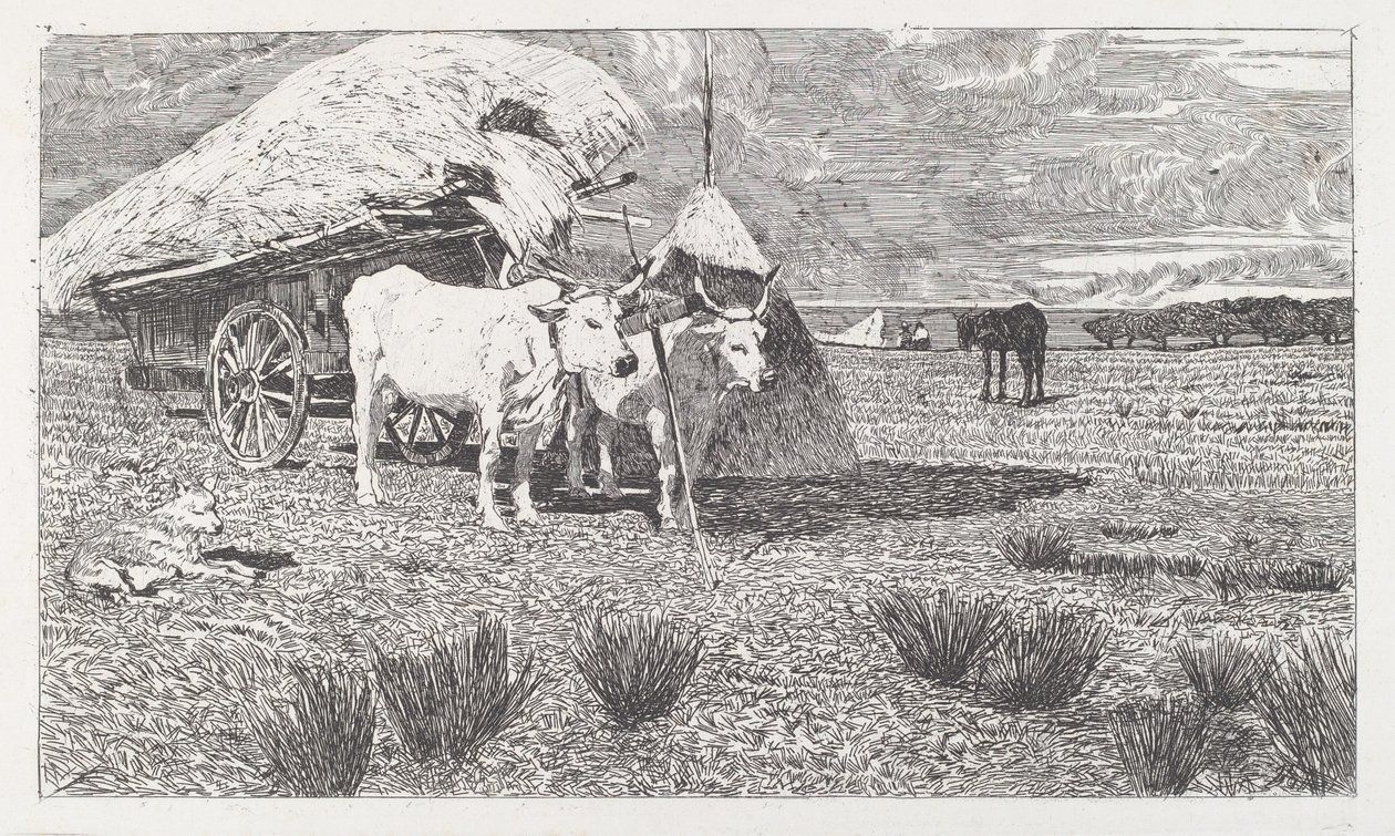 Buoi al Carro (Maremma) da Giovanni Fattori
