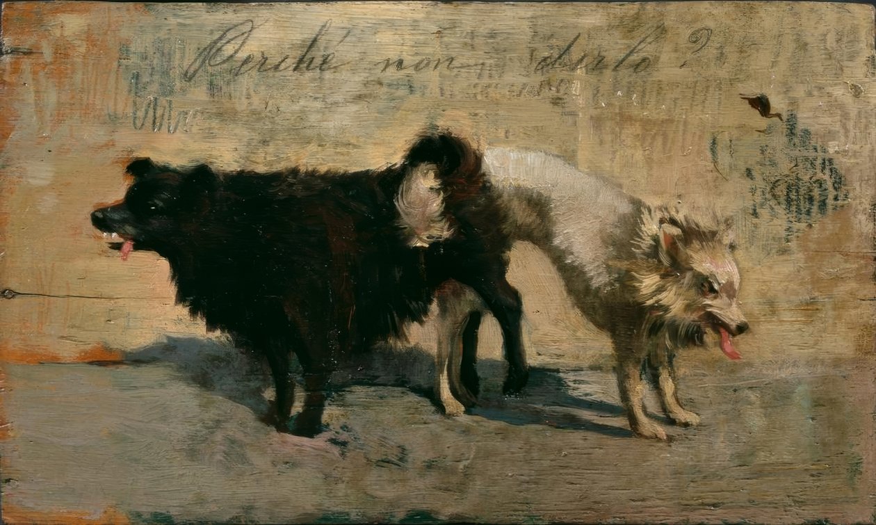 Perché non dirlo? da Giovanni Fattori
