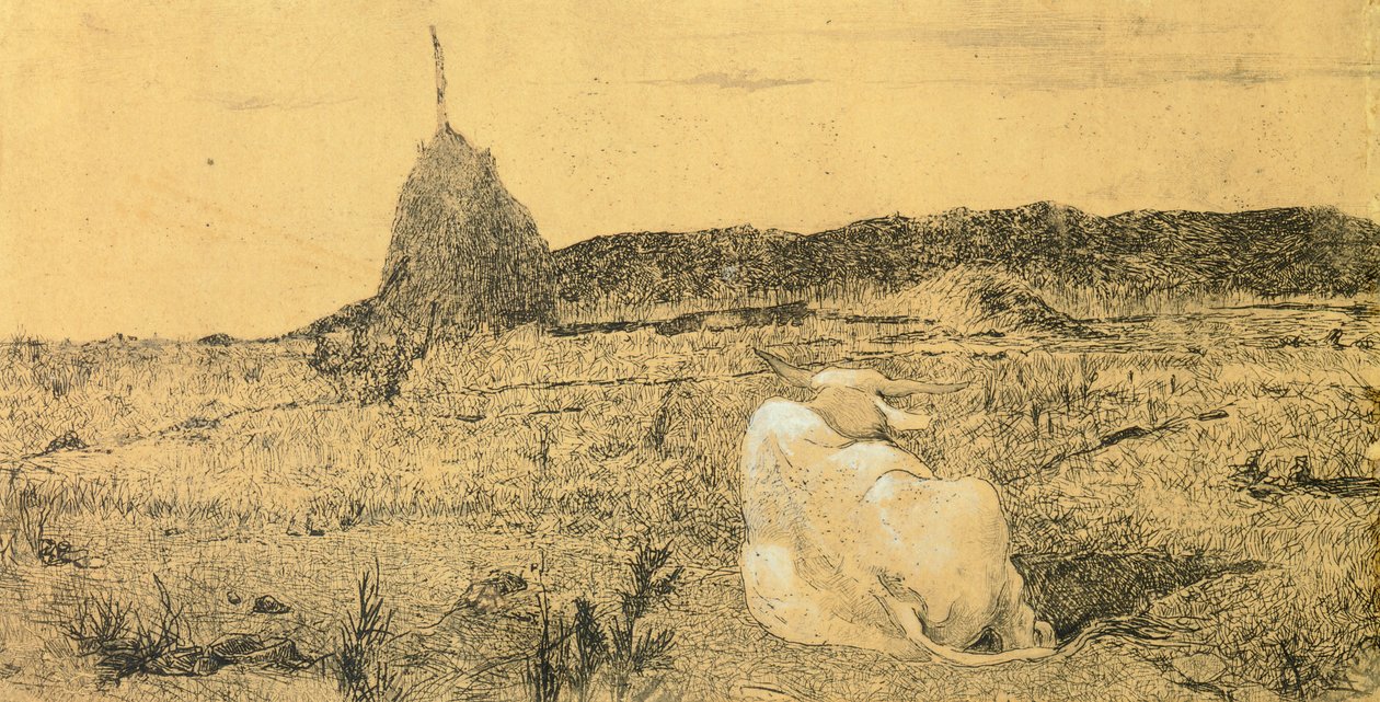 Pio Bove da Giovanni Fattori