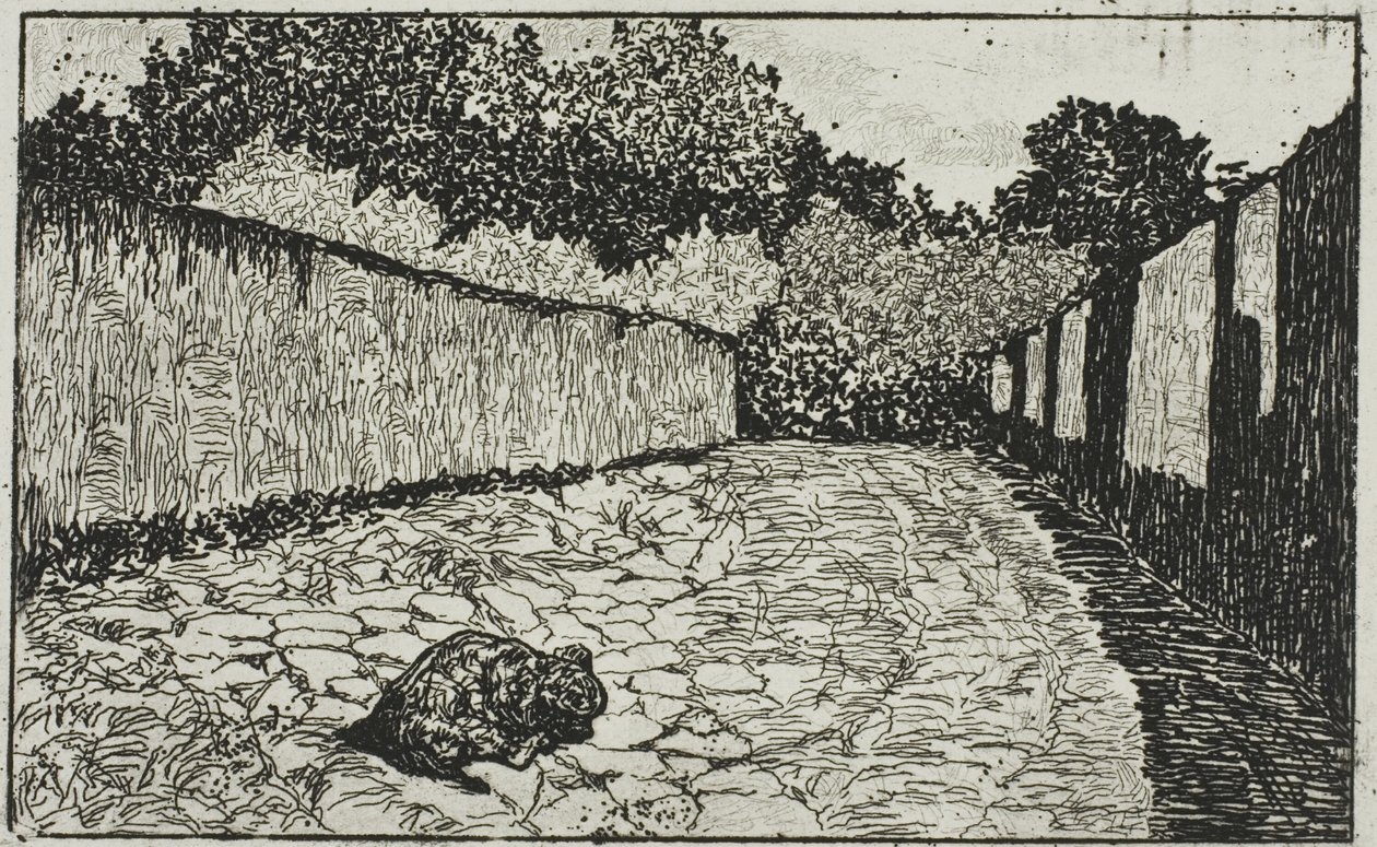 Piccola strada alla periferia di Firenze con cucciolo da Giovanni Fattori