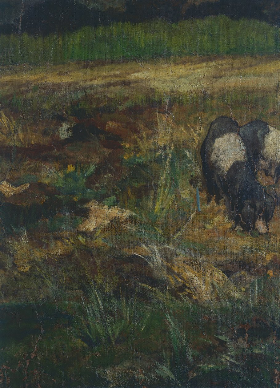 Maremma Toscana (dettaglio) da Giovanni Fattori