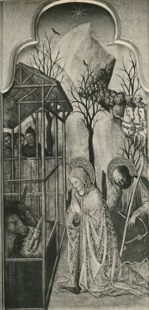 Ciclo della Vita della Vergine, Natività, c.1445 da Giovanni Francesco da Rimini