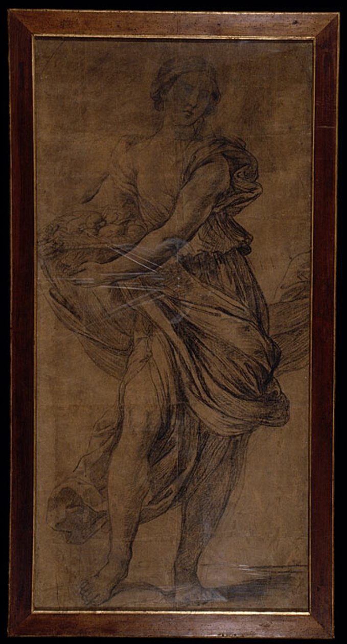 Pomona da Giovanni Giacomo Sementi