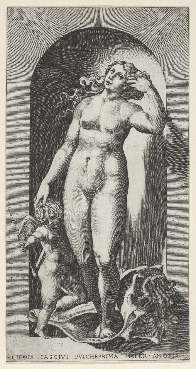 Venere in una nicchia, in piedi su una conchiglia, con Cupido alla sua destra, da una serie, 1526 da Giovanni Jacopo Caraglio