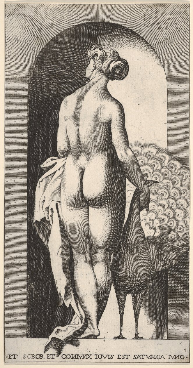 Tavola 4: Giunone in piedi in una nicchia, vista da dietro, accarezza un pavone alla sua destra, fr..., 1526 da Giovanni Jacopo Caraglio