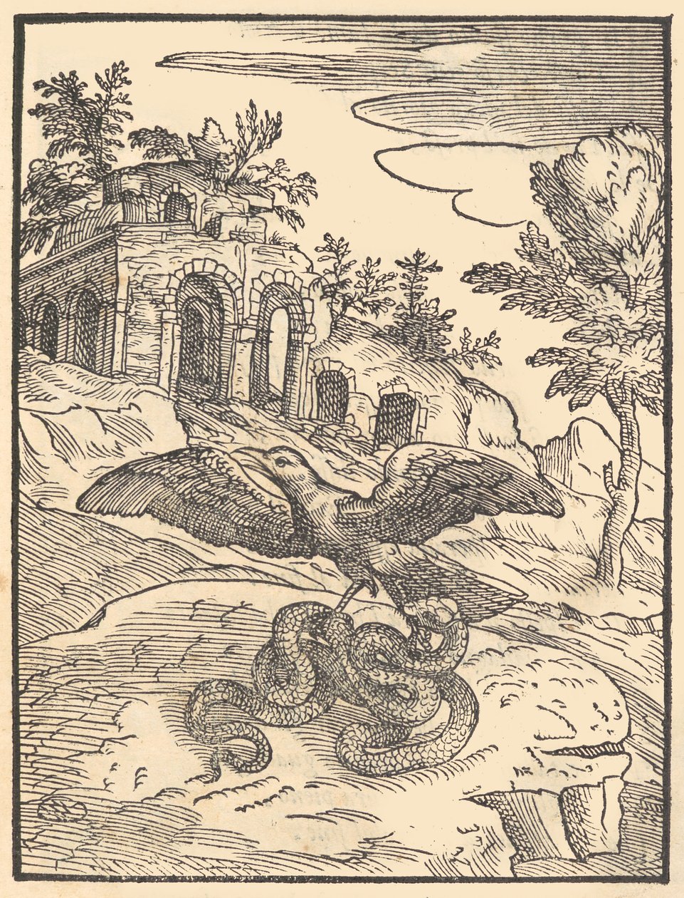Uccello e serpente da Giovanni Maria Verdizotti