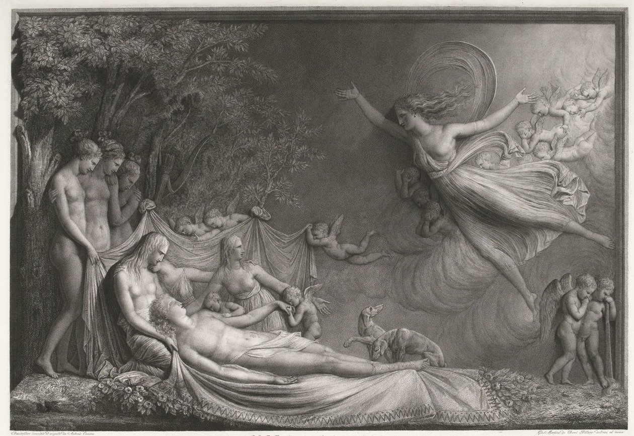 La morte di Adone da Giovanni Martino dei Boni