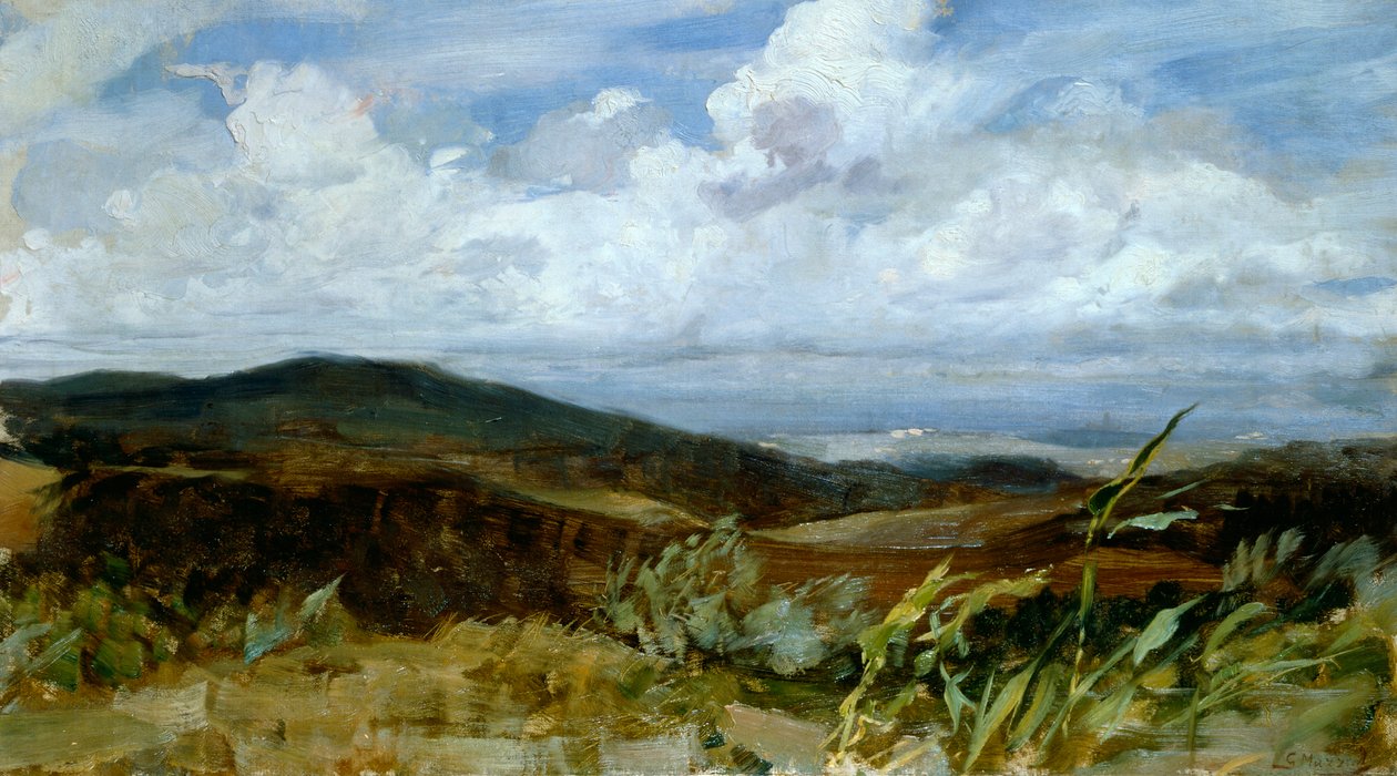 Paesaggio, di Giovanni Muzzioli da Giovanni Muzzioli