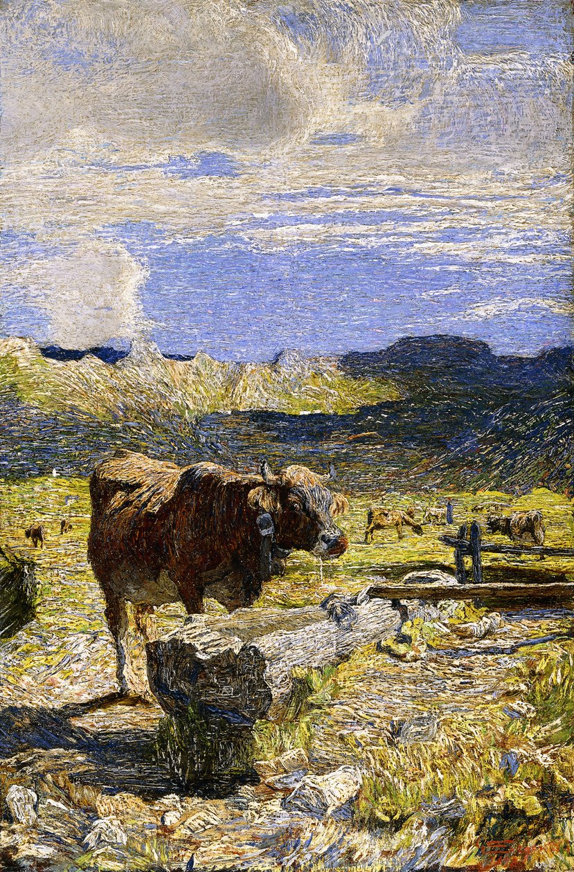Mucca marrone che beve da un abbeveratoio, 1892 da Giovanni Segantini