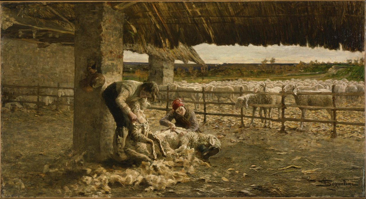 La tosatura delle pecore, 1883-1884 da Giovanni Segantini