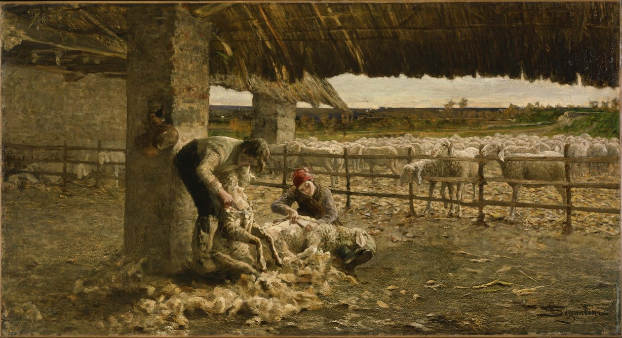 Tosatura delle pecore da Giovanni Segantini