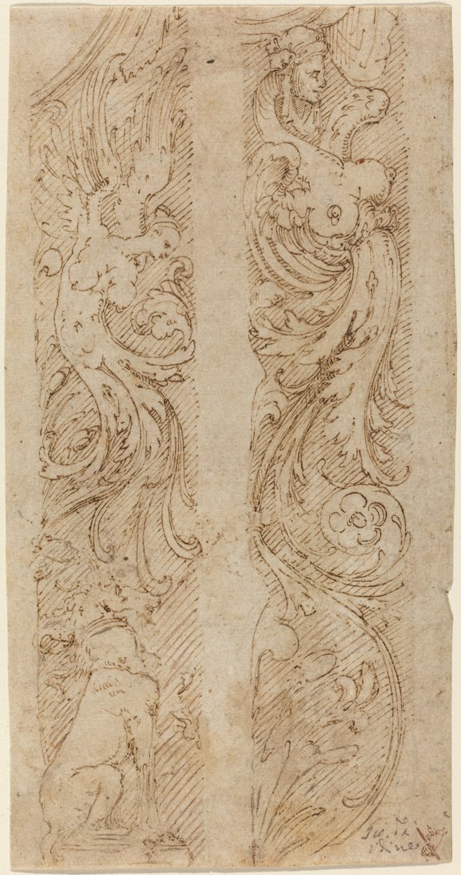 Decorazioni grottesche per pannelli murali da Giovanni da Udine