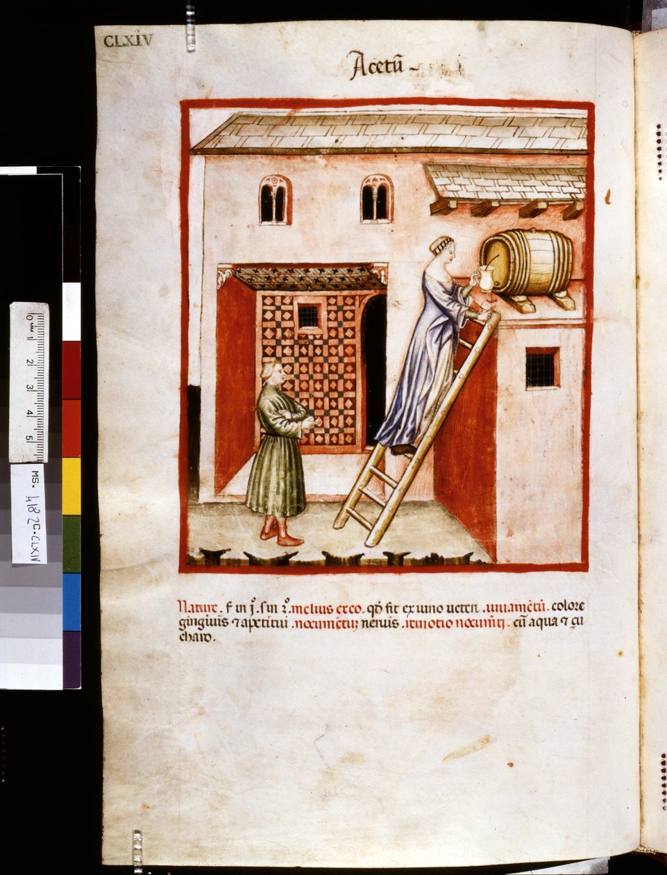 Theatrum sanitatis di Ububchasym de Baldach: 