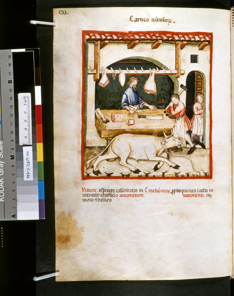 Theatrum sanitatis di Ububchasym de Baldach: 
