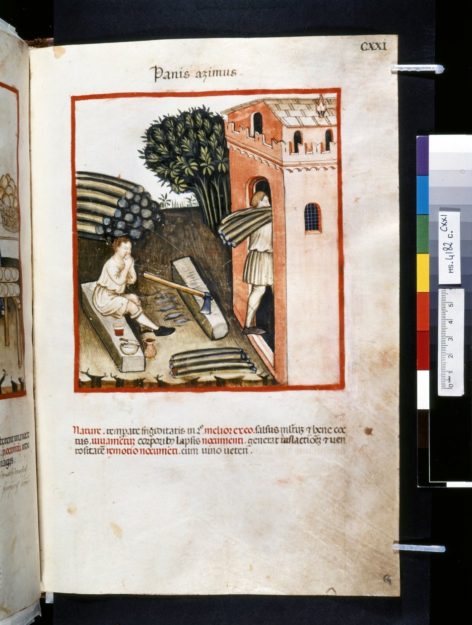 Theatrum sanitatis di Ububchasym de Baldach: 