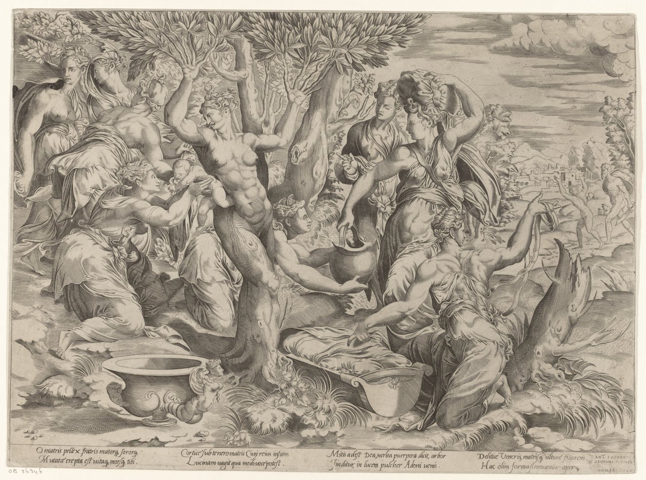 Nascita di Adone da Girolamo Fagiuoli (attributed to)