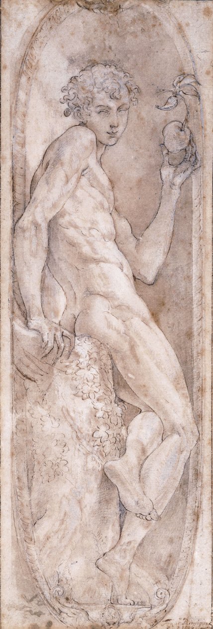 Adamo che tiene una mela, seduto, in un medaglione, c.1547-1553 da Girolamo Mazzola Bedoli