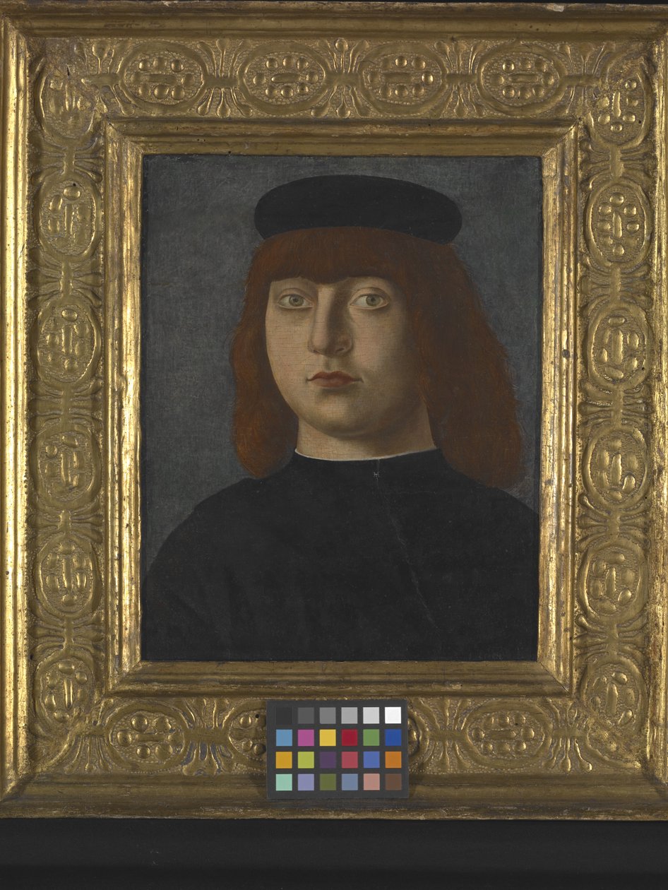 Ritratto di un Uomo da Girolamo Mocetto