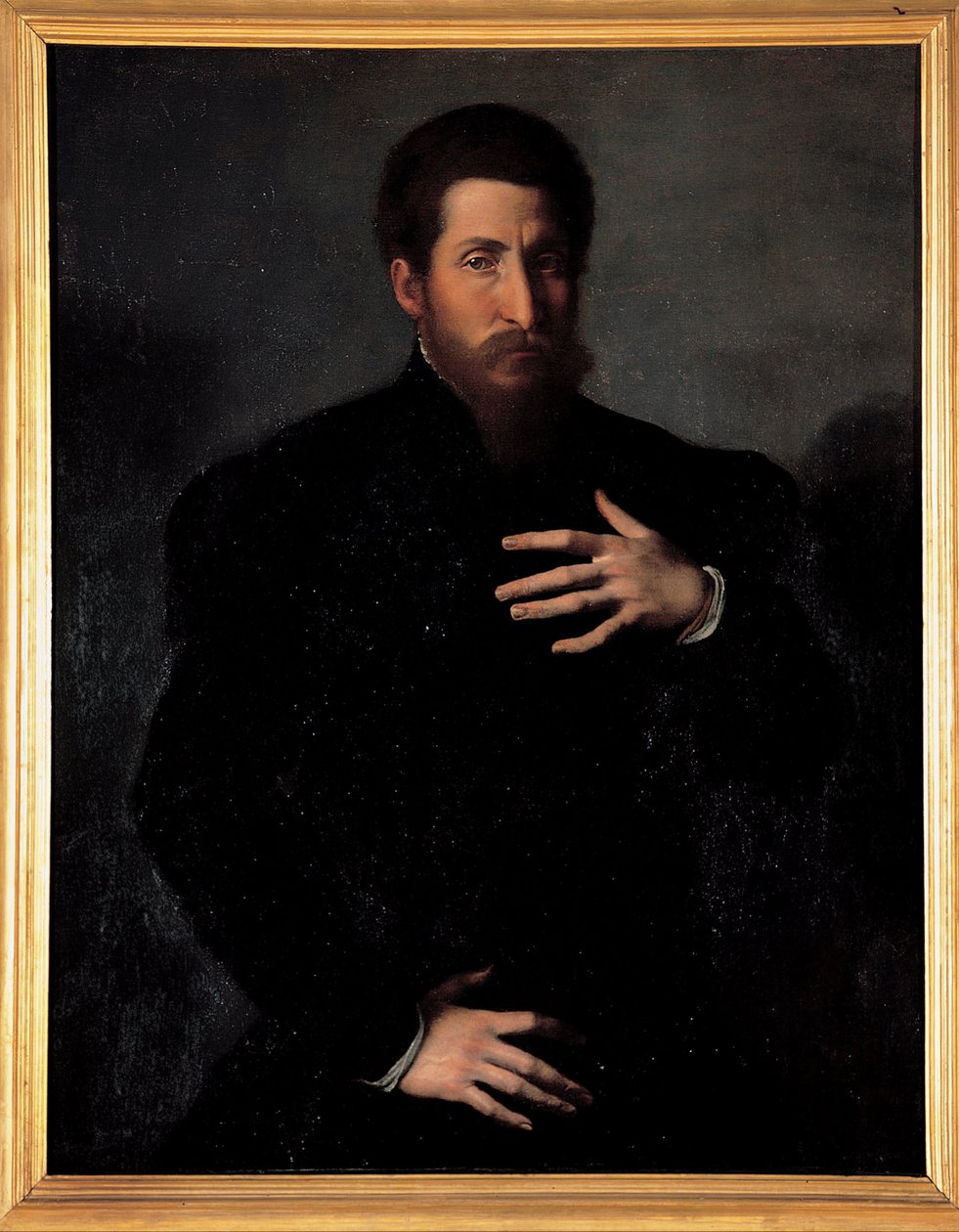Ritratto di un uomo virile da Girolamo da Carpi