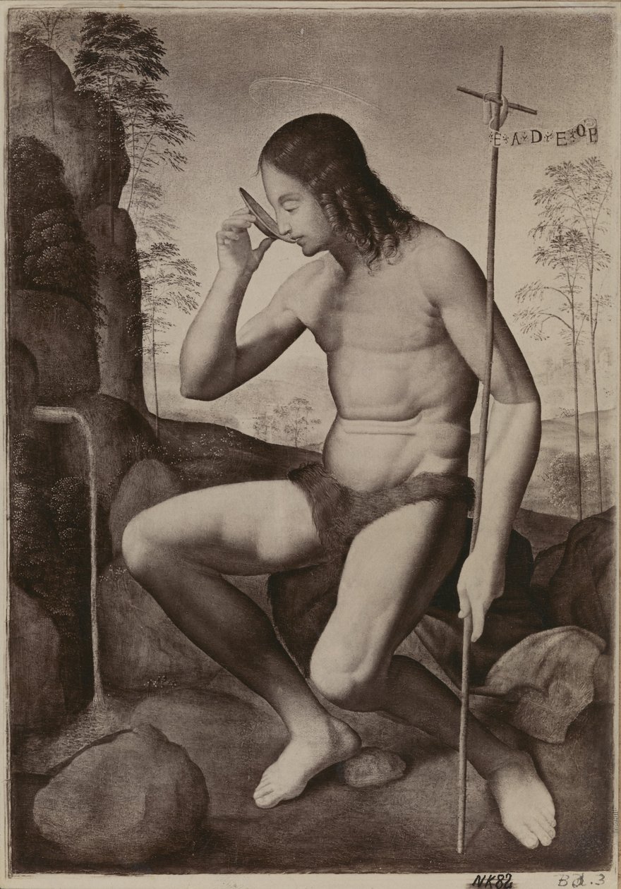San Giovanni Battista nel deserto da Giuliano Bugiardini