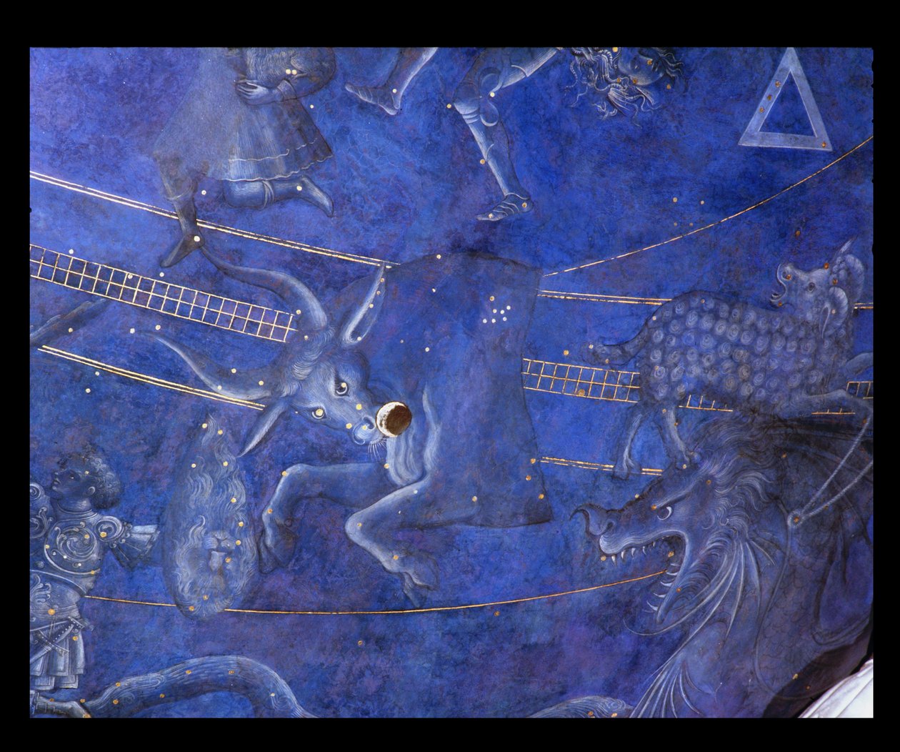Il Percorso del Sole attraverso le stelle nella notte del 4 luglio 1442, dettaglio del Toro, dal soffitto sopra l