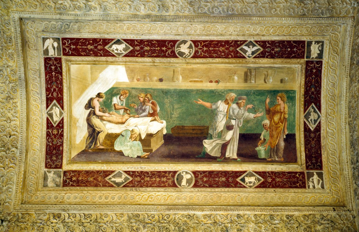 Scena di un medico che assiste un malato, dipinto sul soffitto del Giardino Segreto da Giulio Romano