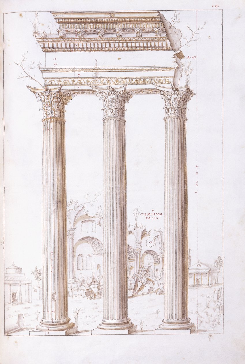Le colonne del tempio di Castore e Polluce, con il tempio della Pace sullo sfondo, c.1550 da Giulio (circle of) Romano