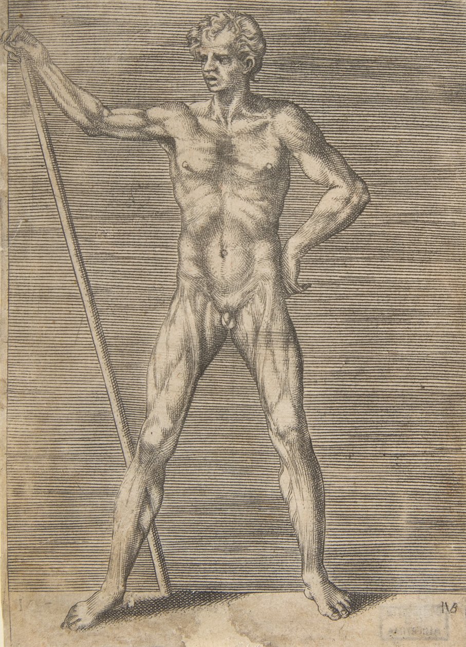 Uomo scuoiato visto di fronte, che tiene un bastone da Giulio Bonasone