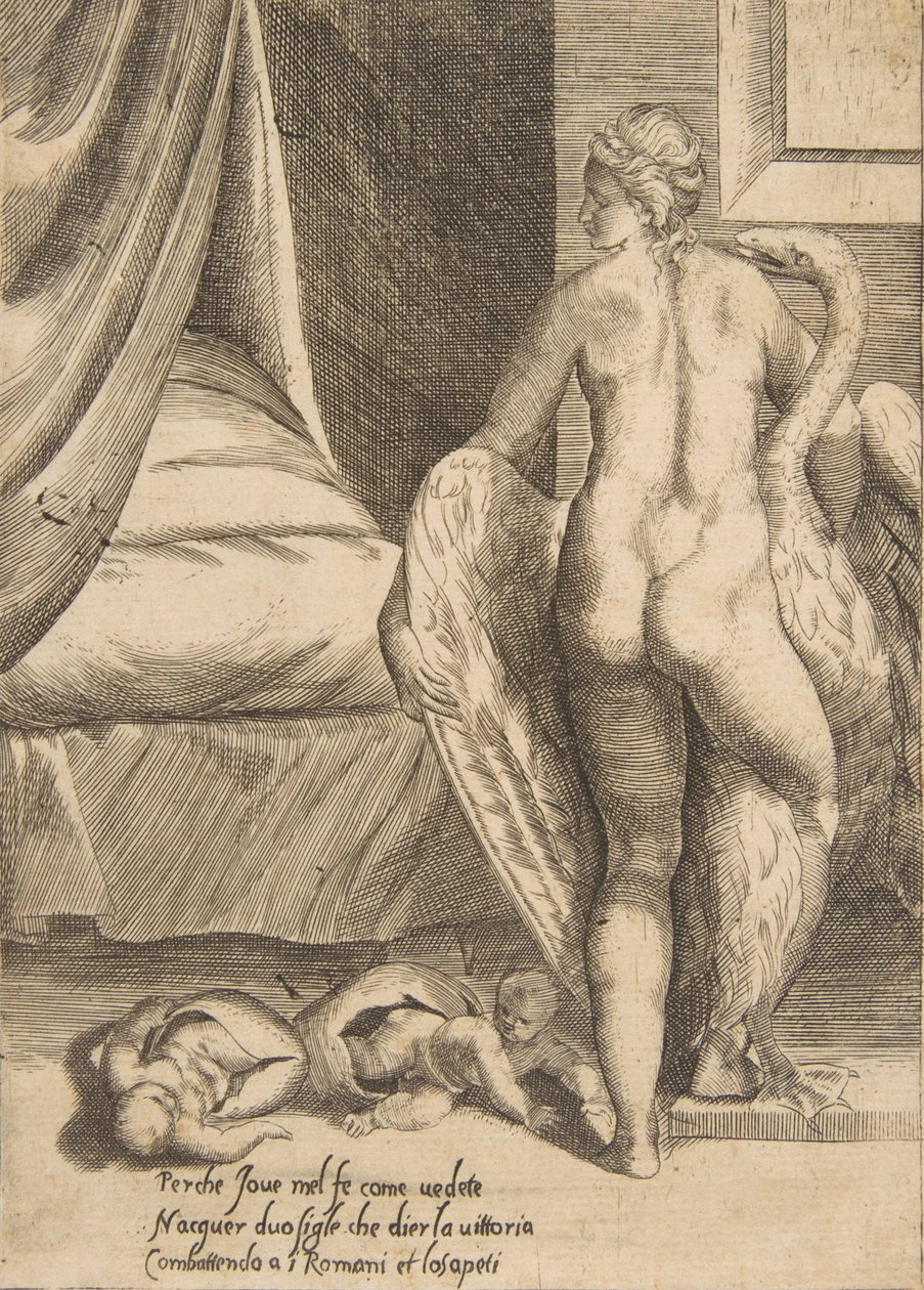 Leda e il cigno, da 